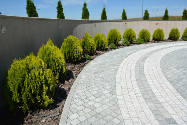 Best Professional Driveway Pavers  in Hampton, MD